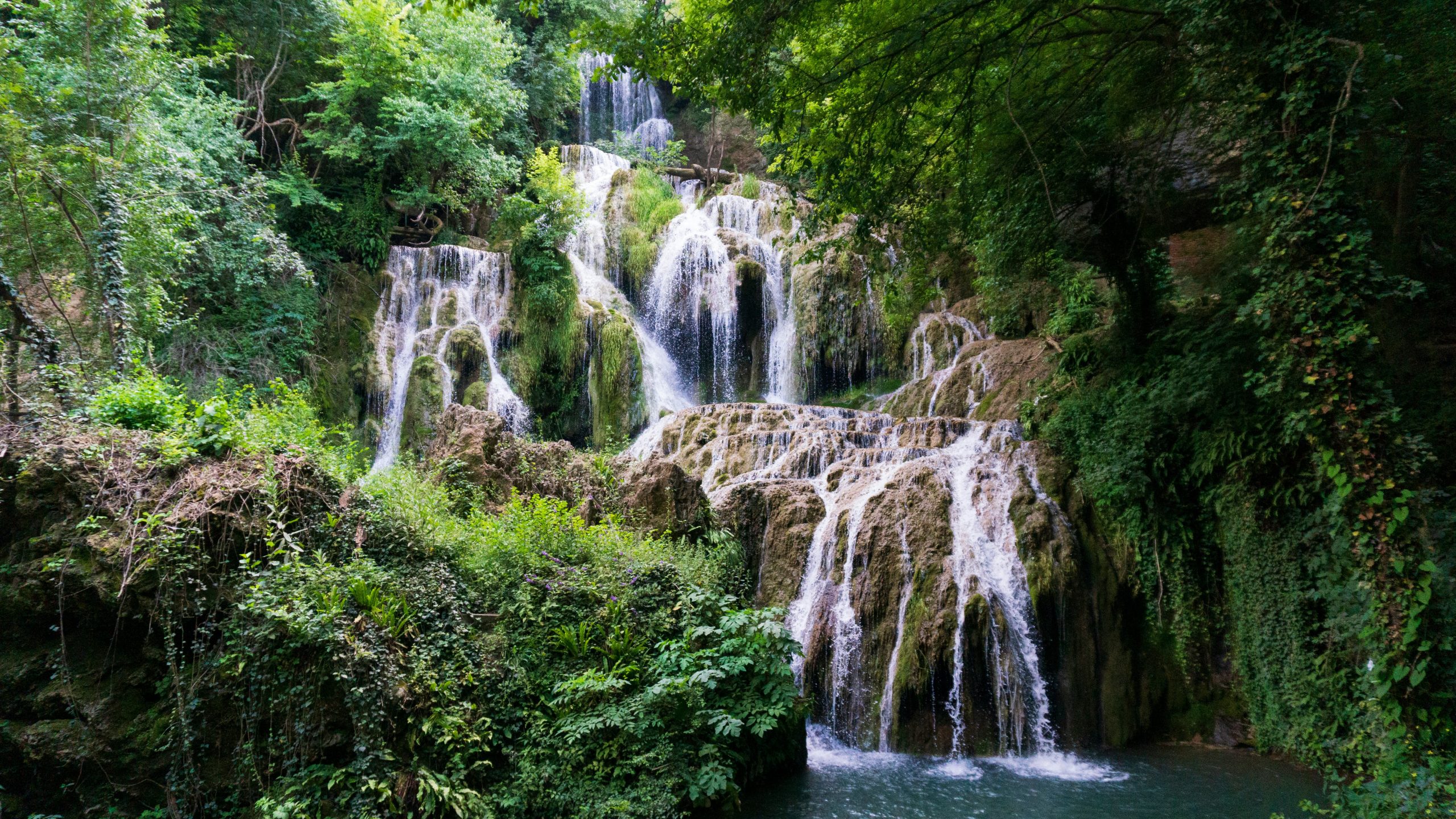 Bulgaria D.I.E.